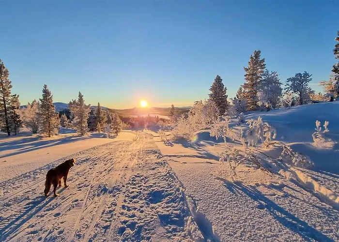 Holiday home 5 Bedroom Gorgeous In Tynset